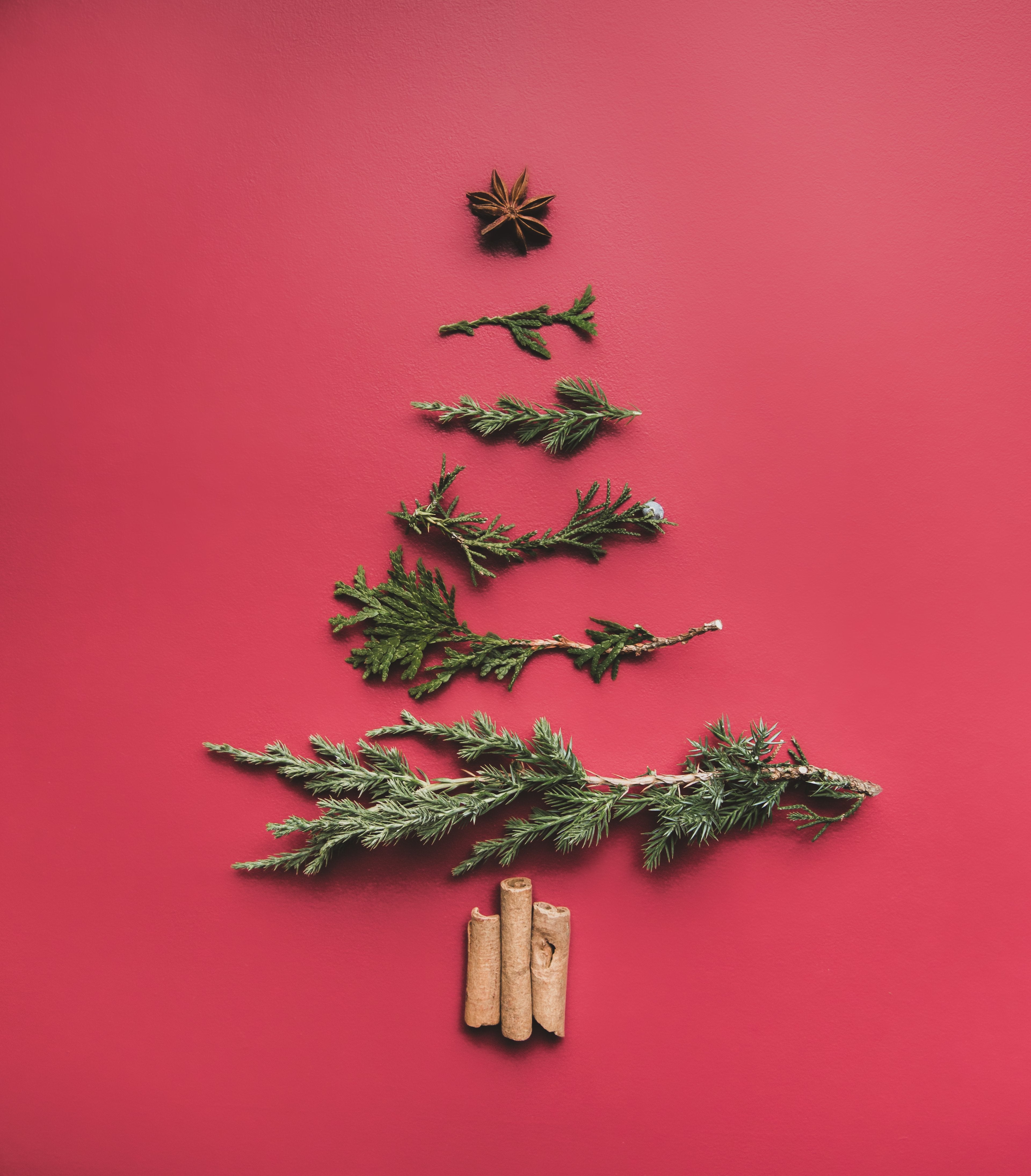 (Holiday) Spice Up Your Skincare Routine! | By Robin Creations