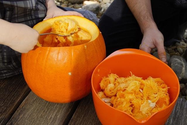 Skincare DIYs Using Leftover Pumpkins | By Robin Creations