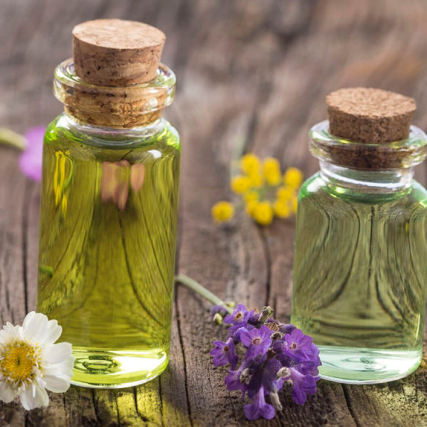 Our Latest and Greatest Additions! | By Robin Creations