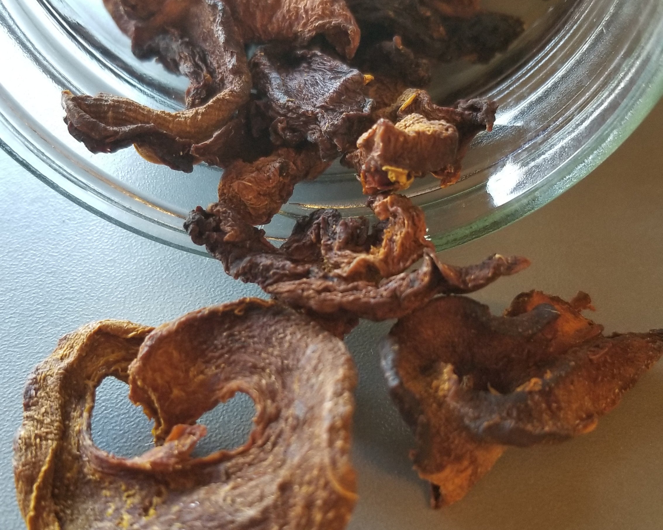 Pumpkin Jerky Dog Treats DIY Recipe