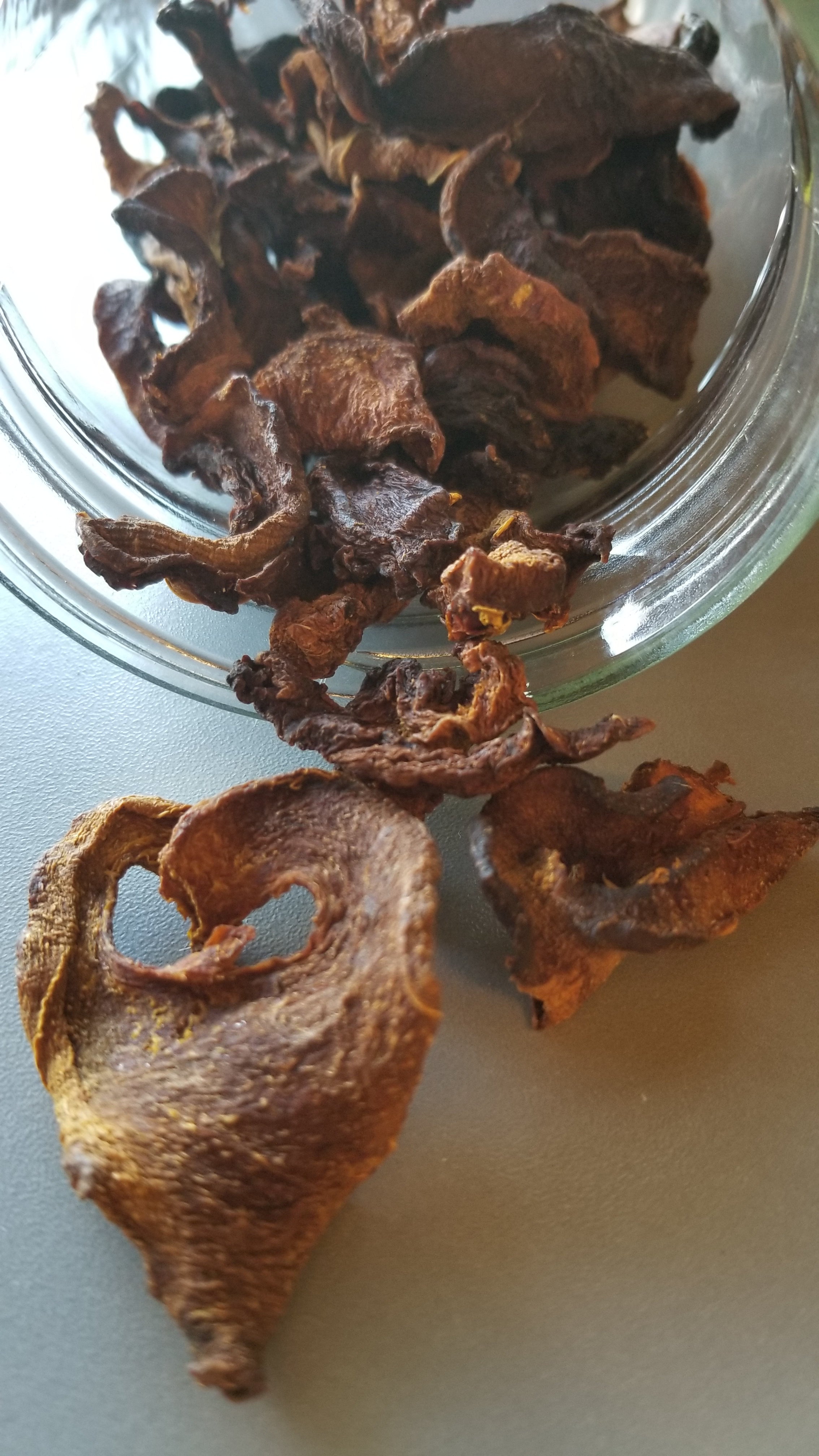 Pumpkin Jerky Dog Treats DIY Recipe
