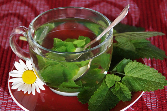 Lemon Balm Tea For Styes