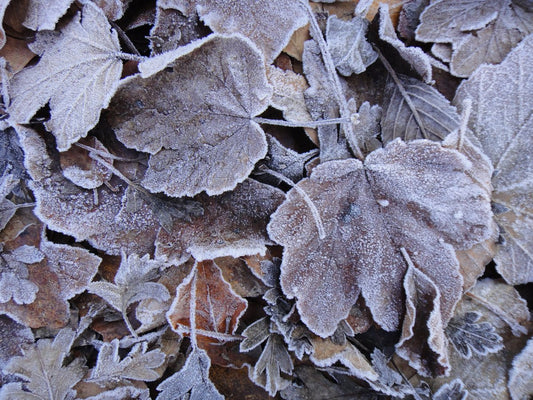 Eczema Relief Tips