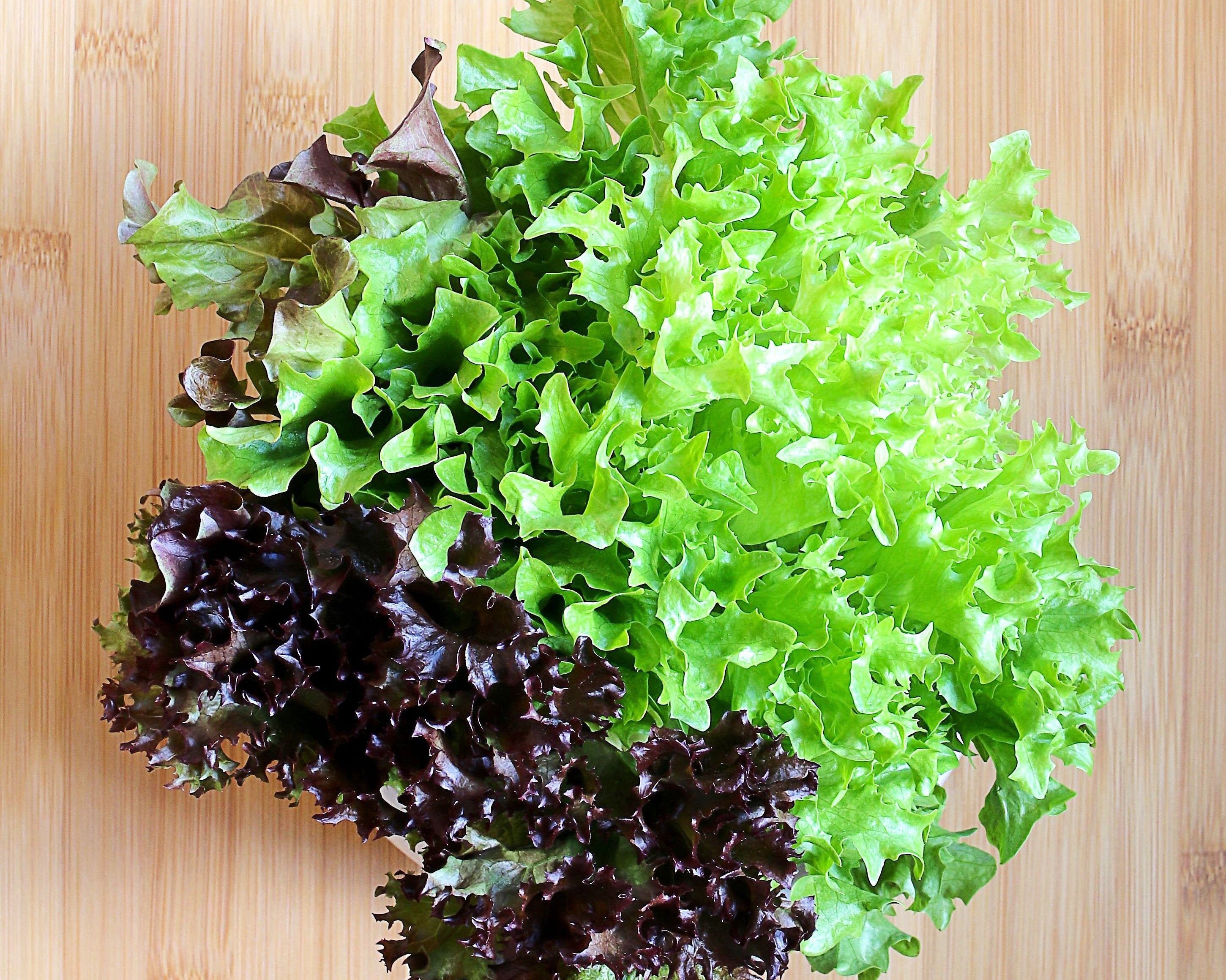The Importance of Magnesium