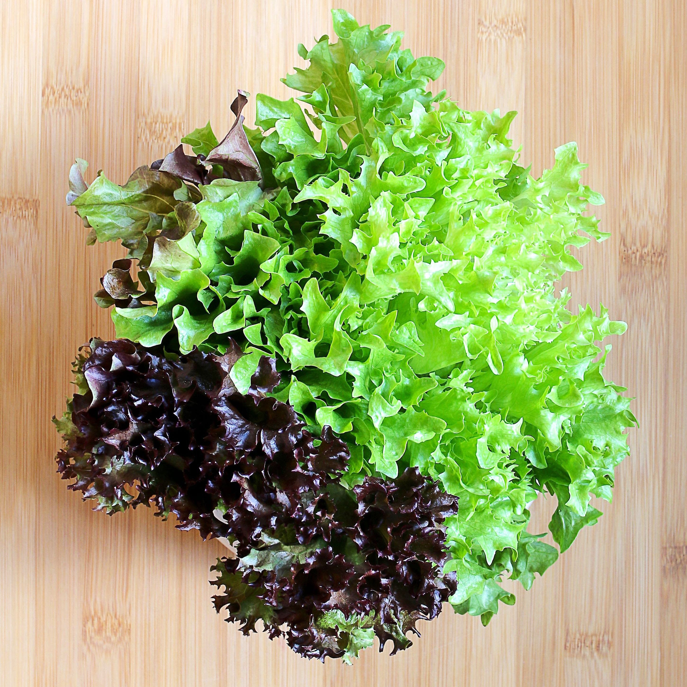 The Importance of Magnesium