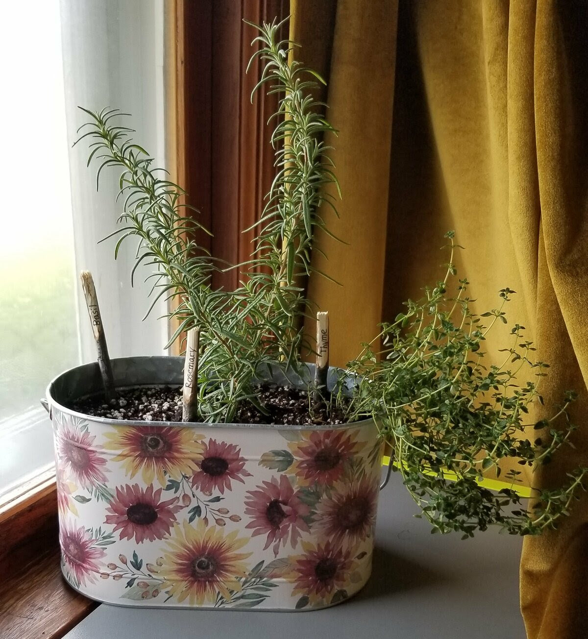 DIY Winter Herb Garden