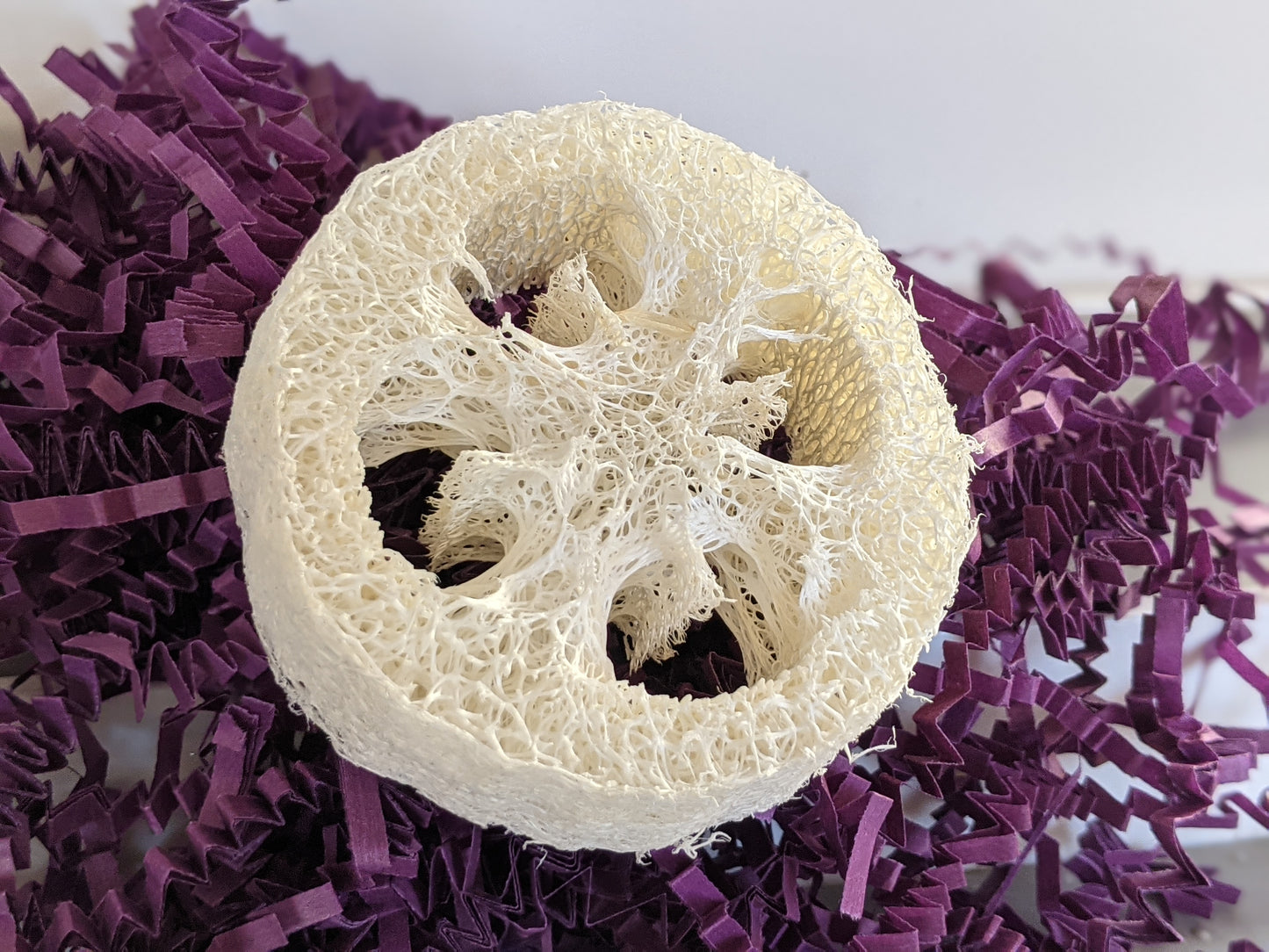 BUY 1 GET 1 FREE! All Natural Loofah Sponge