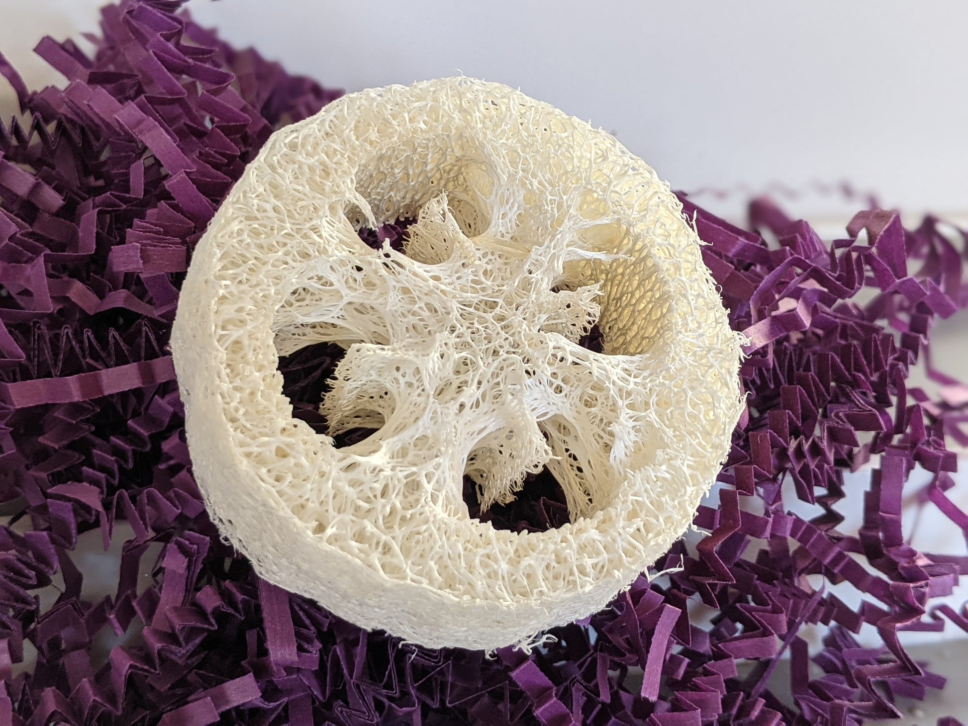 BUY 1 GET 1 FREE! All Natural Loofah Sponge | By Robin Creations 