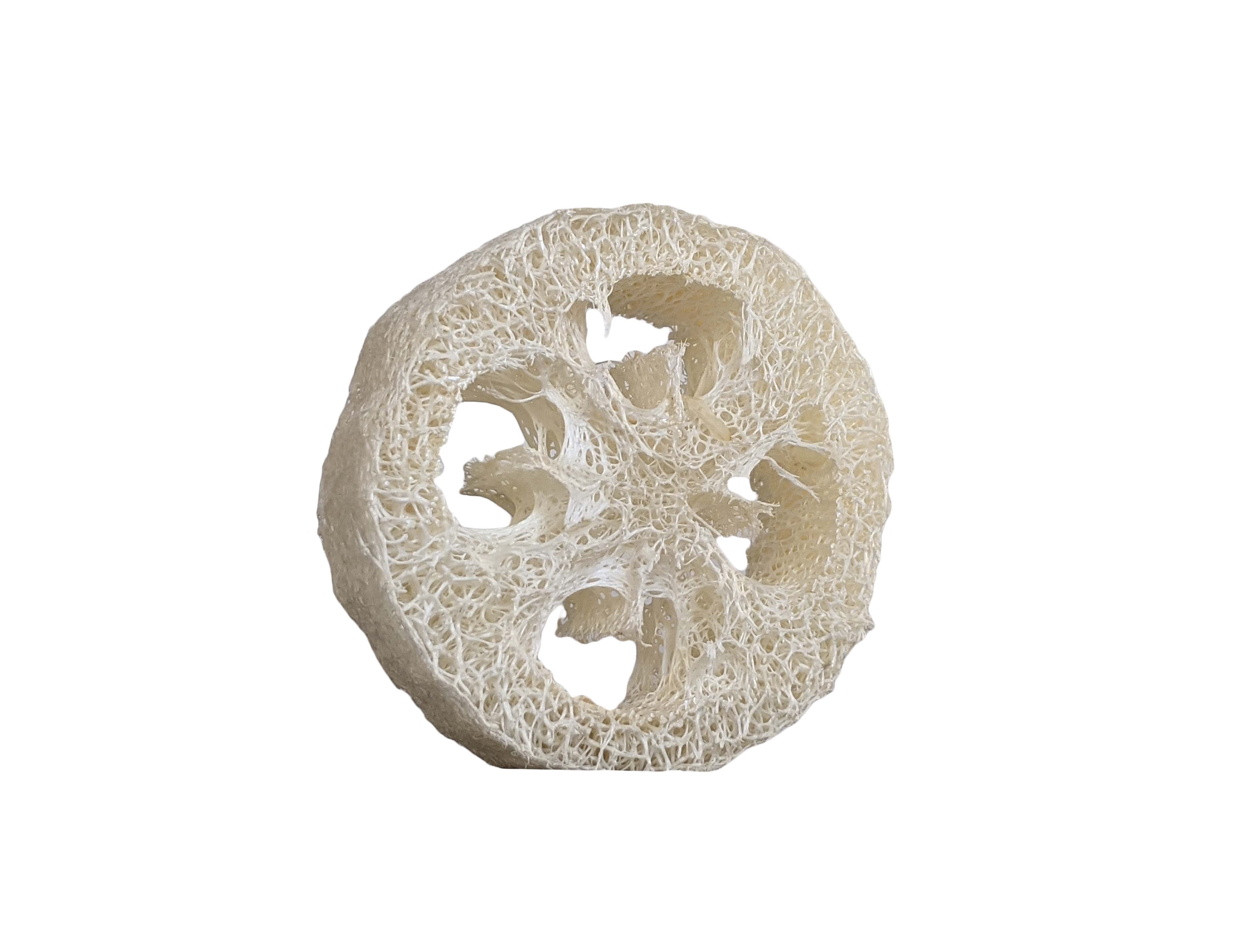All Natural Loofah Sponge - Buy 1, Get 1 Free