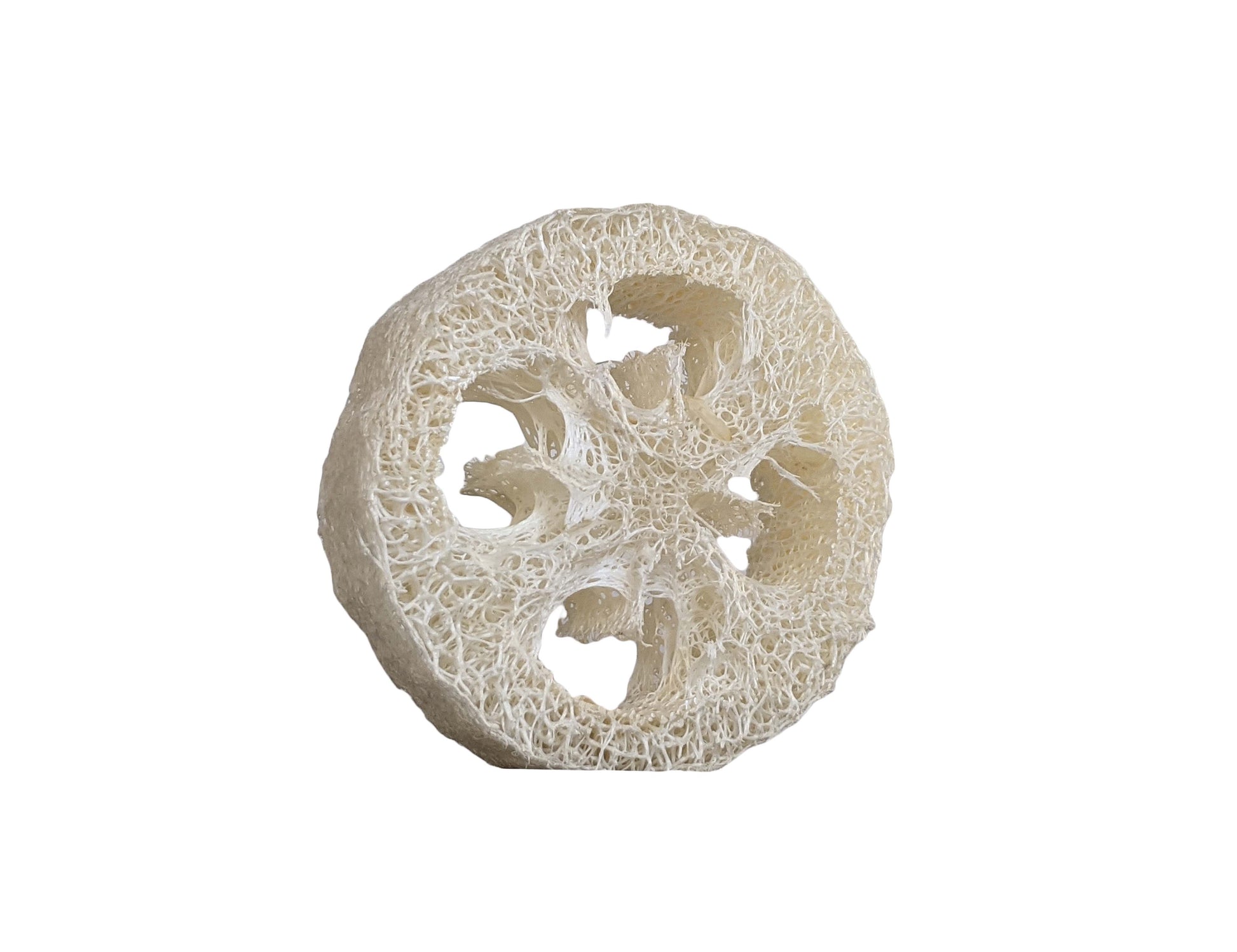 All Natural Loofah Sponge | By Robin Creations 